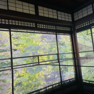 以前の記事: お出かけ京都blog◎