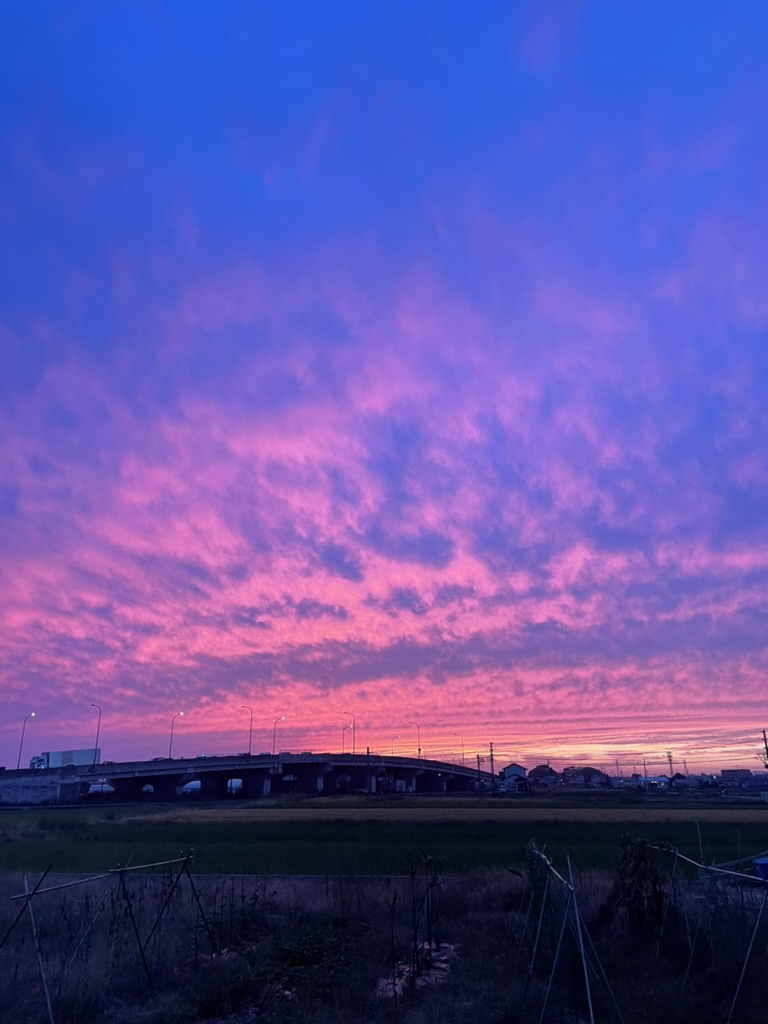 きれいな夕日でした◎