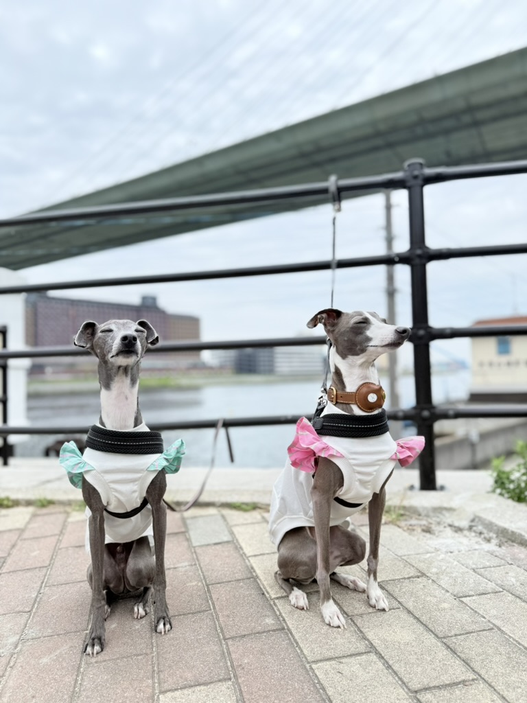 続き。。。