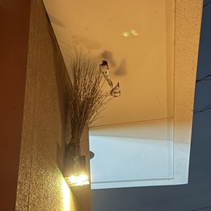 またまた、、、、またまた。。。。。