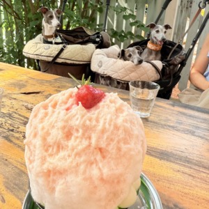 夏はやっぱり◎