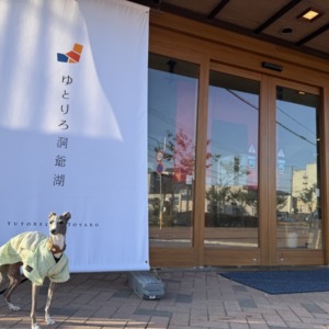 旅のこと◎