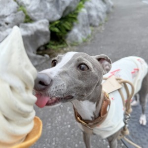 休暇中のおでかけブログ♡