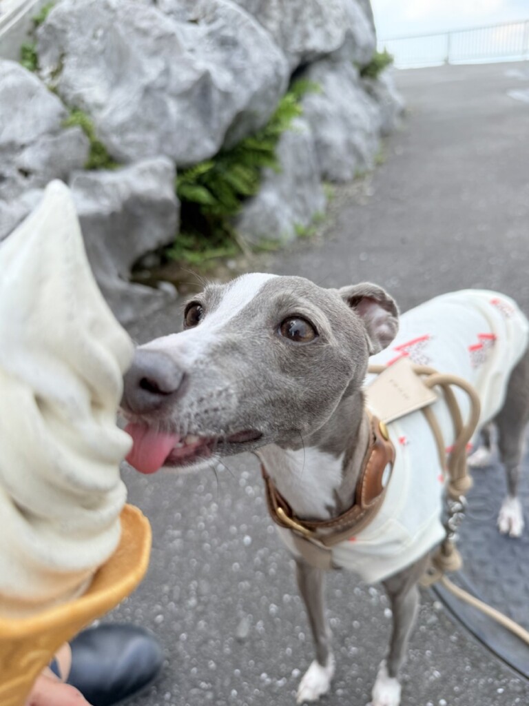 休暇中のおでかけブログ♡ 休暇中のおでかけブログ♡