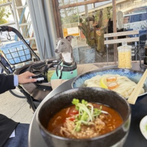 Rocca12周年のお祝いに〜