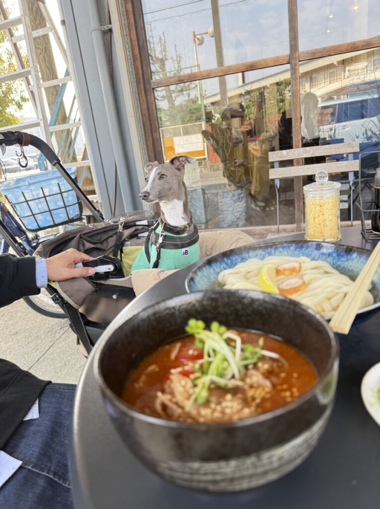 Rocca12周年のお祝いに〜