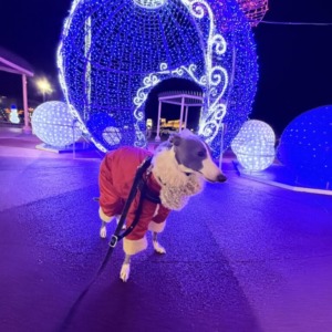 寒くなりましたね♡