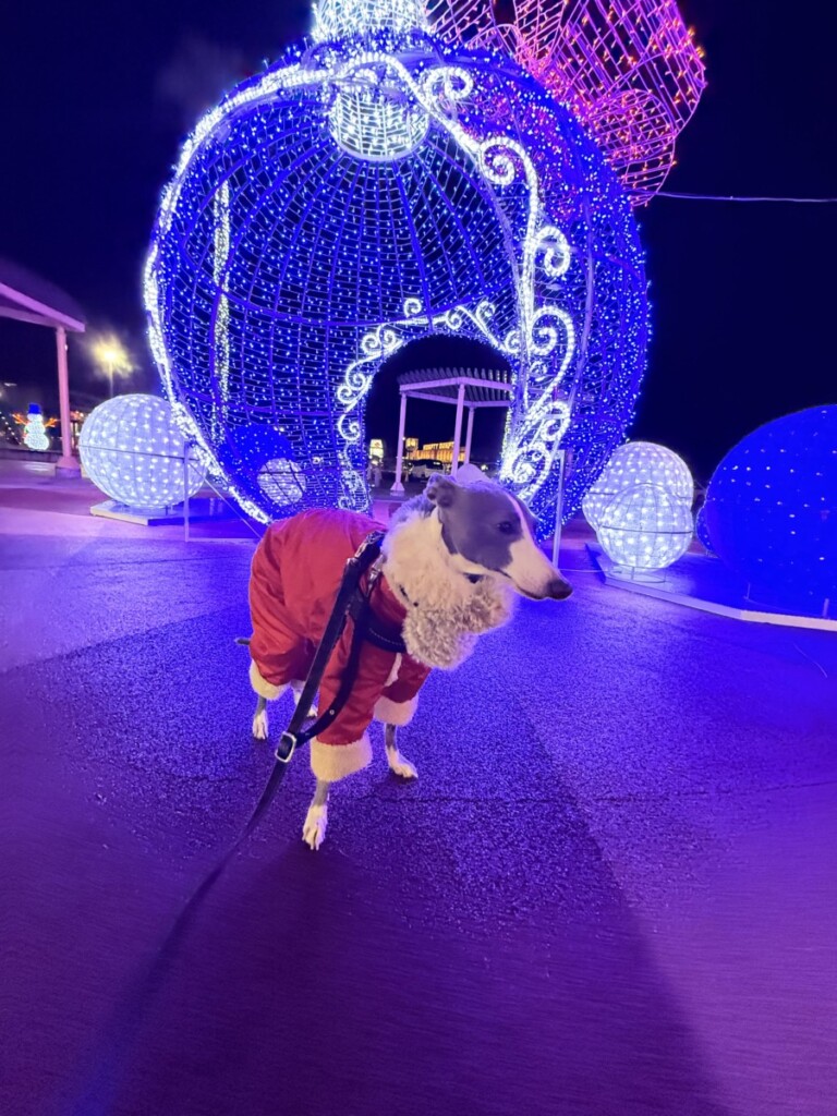 寒くなりましたね♡ 寒くなりましたね♡