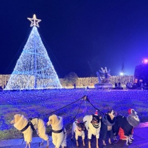 イルミネーション♡