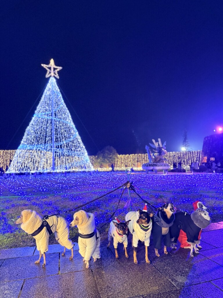 イルミネーション♡