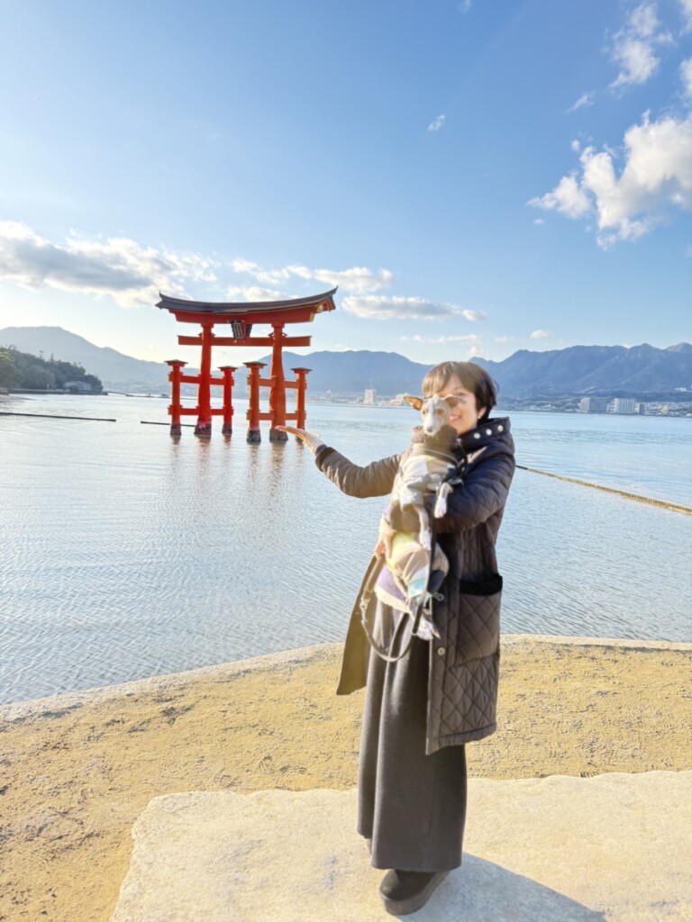 お休みいただきありがとうございました