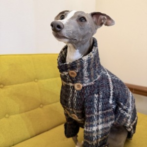 Rocca チエの日常WW