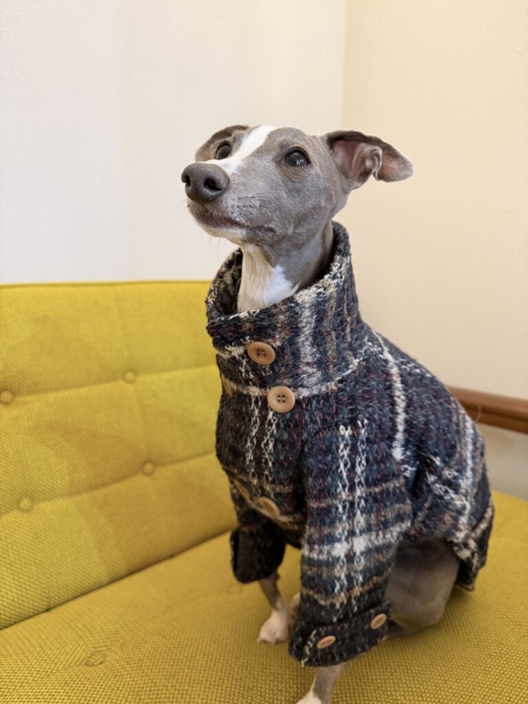 Rocca チエの日常WW