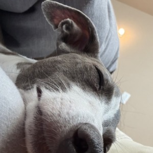 Roccaチエの朝ポエムblog