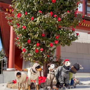 ぽかぽか休日に◎