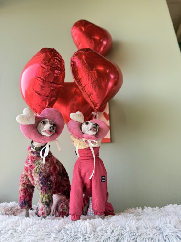 happyバレンタイン