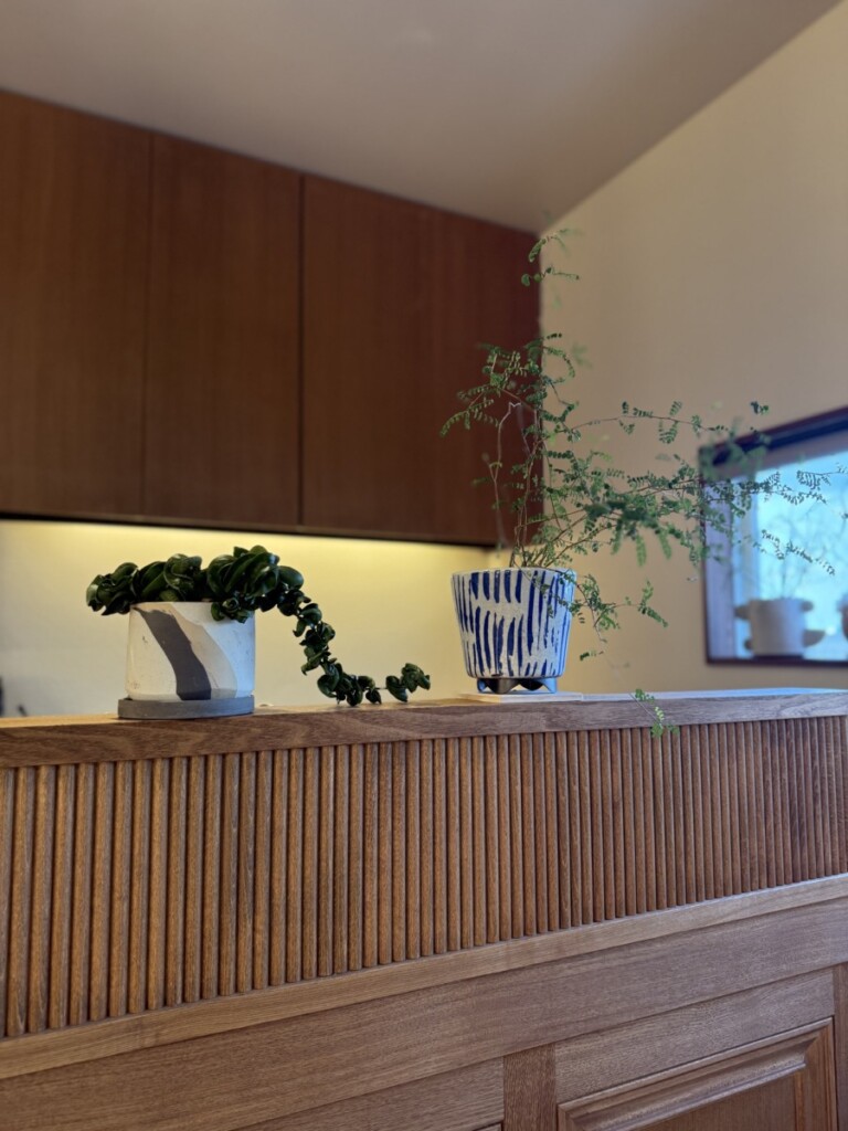 そろそろ春が、、、なんておてんきですね ◎ そろそろ春が、、、なんておてんきですね ◎