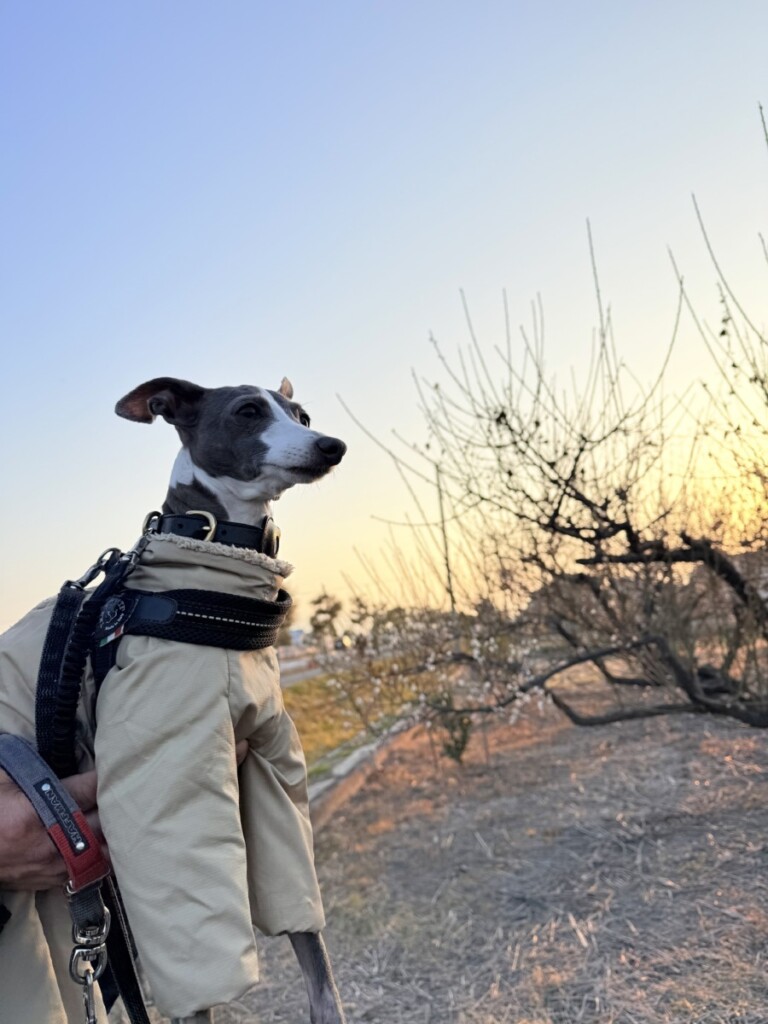 朝散歩♡ 朝散歩♡