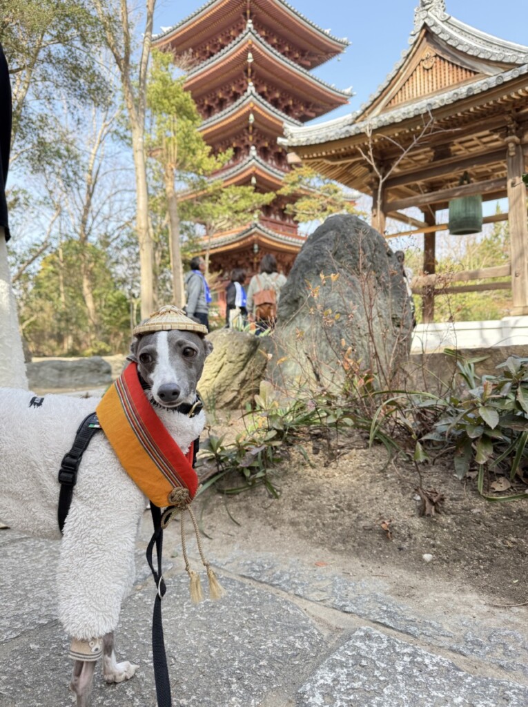 お遍路ウォークに参加しました