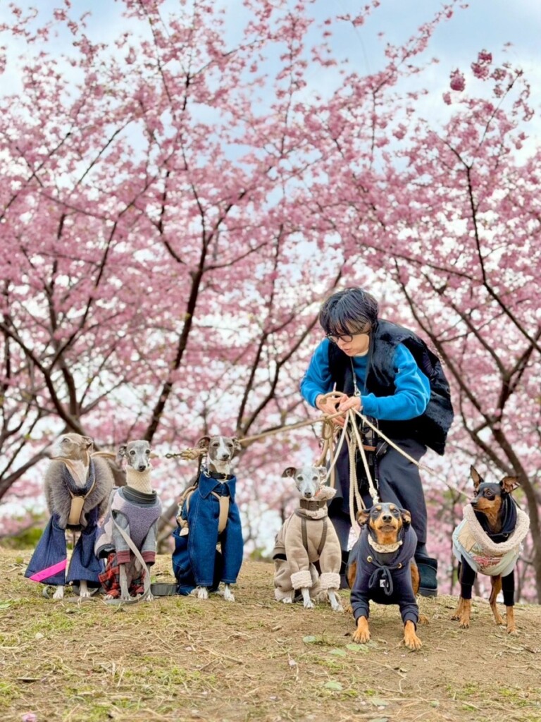 Roccaチエの季節を感じるシリーズ