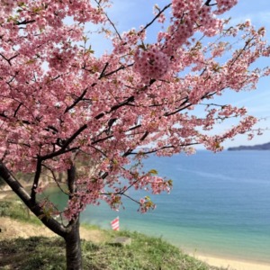 皆様ご卒業おめでとうございます