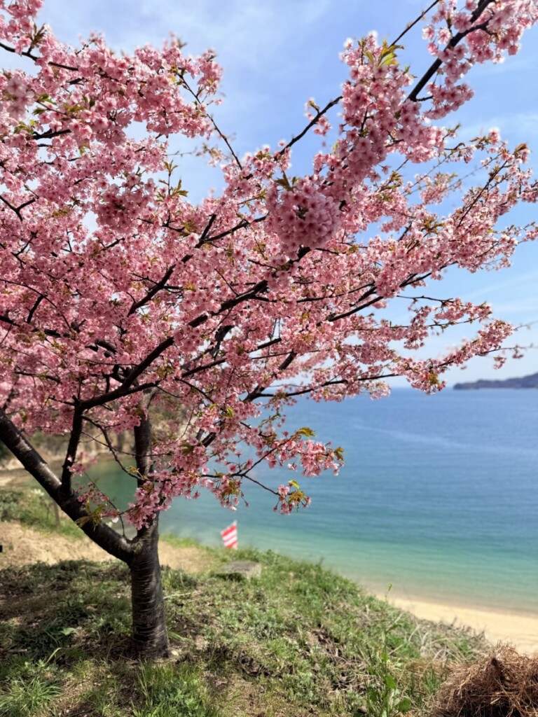 皆様ご卒業おめでとうございます