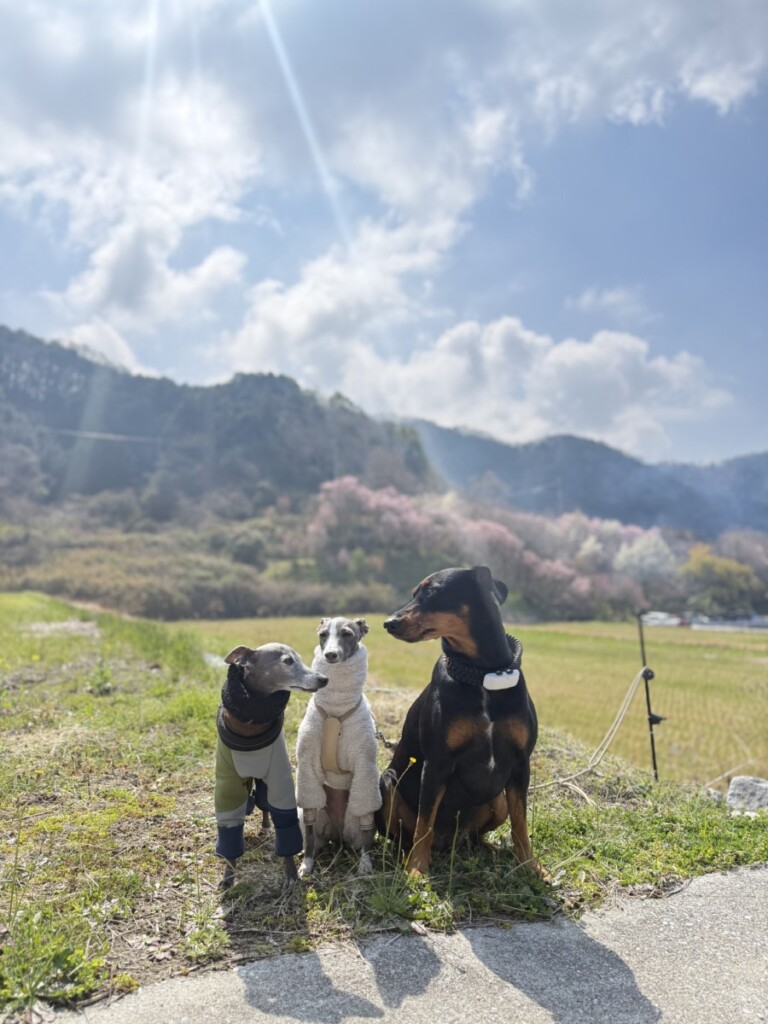 休日の朝活♡ 休日の朝活♡