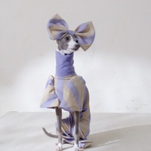 春なので写真撮影に♡