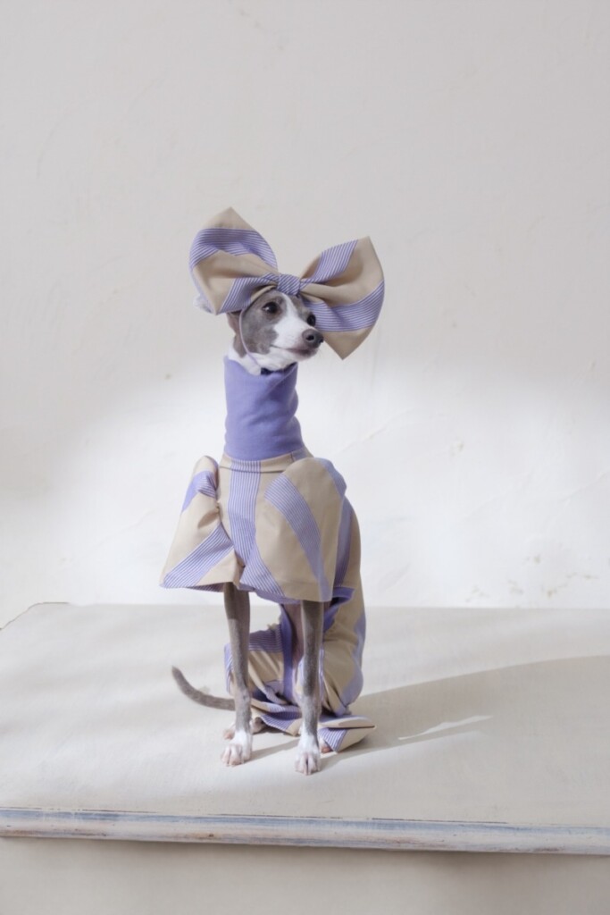 春なので写真撮影に♡