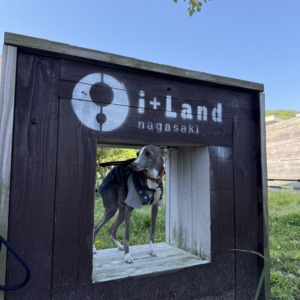 Rocca旅ブログ②