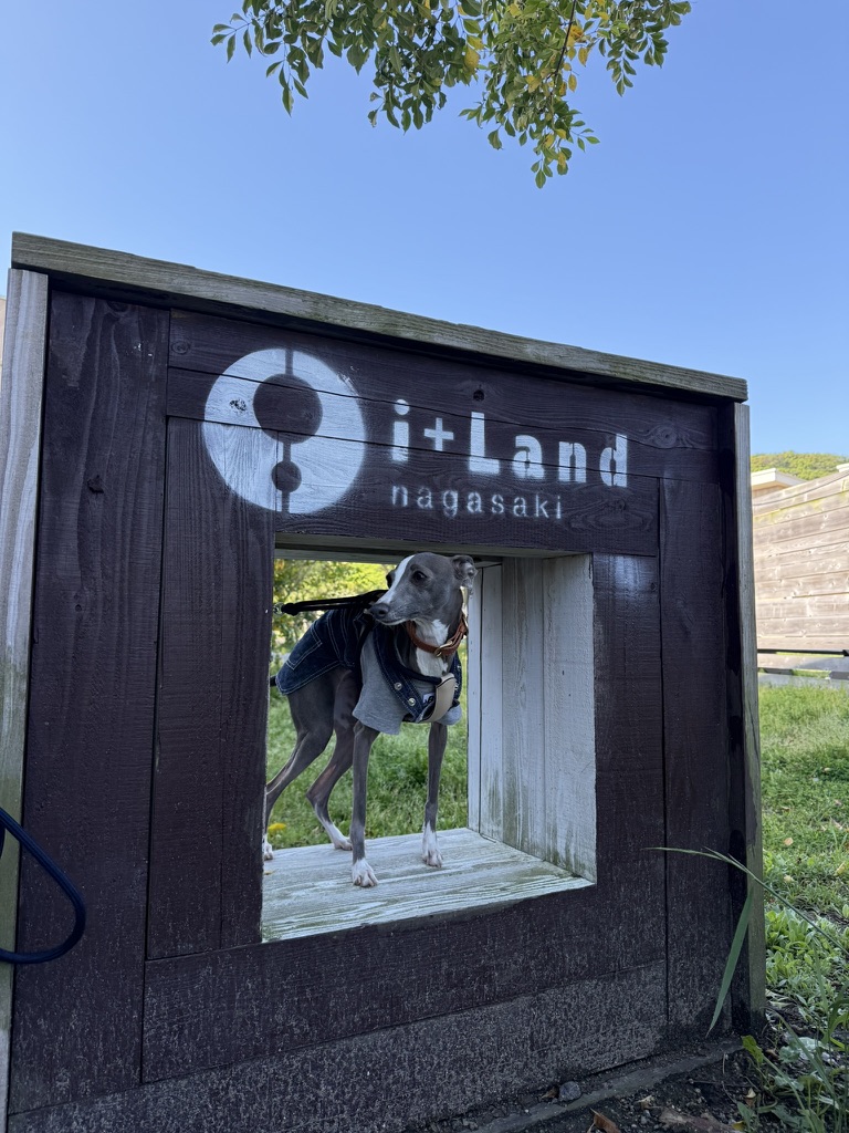 Rocca旅ブログ②