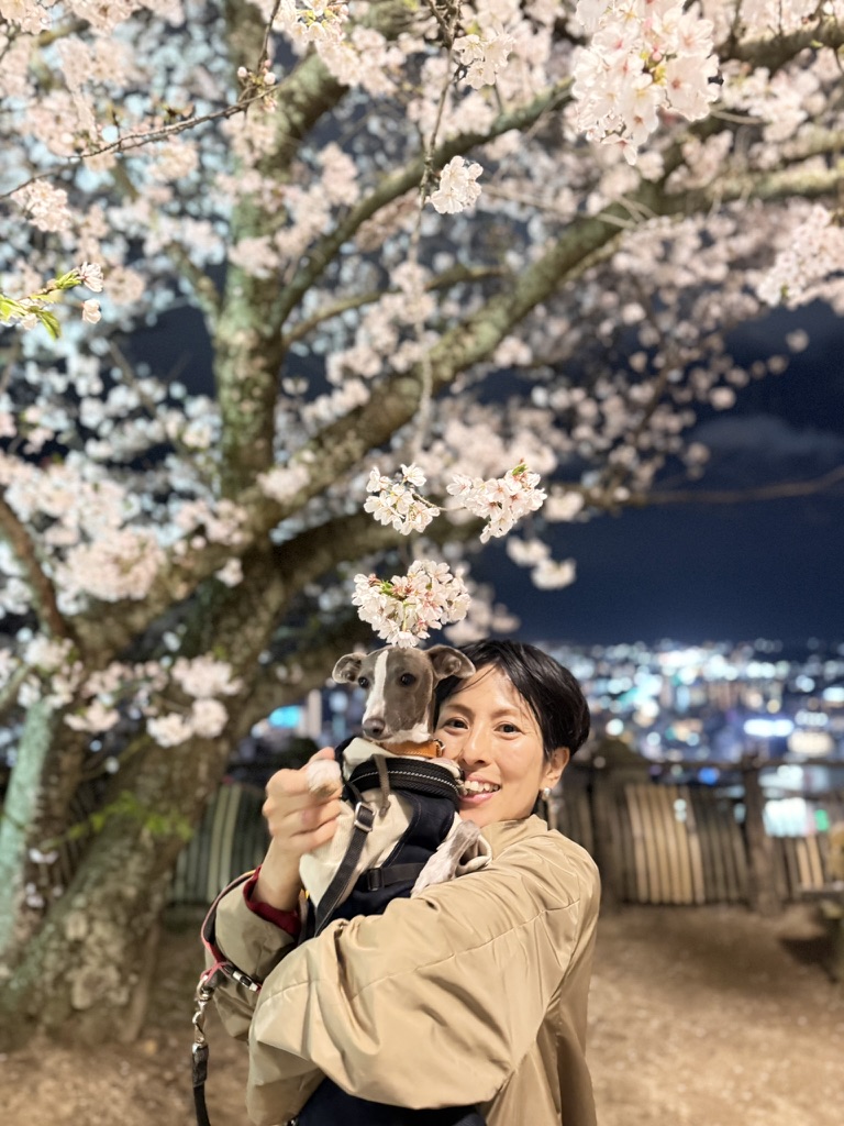 Roccaチエの桜パトロール Roccaチエの桜パトロール