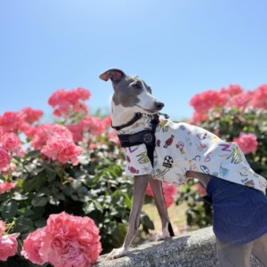 休日には♡