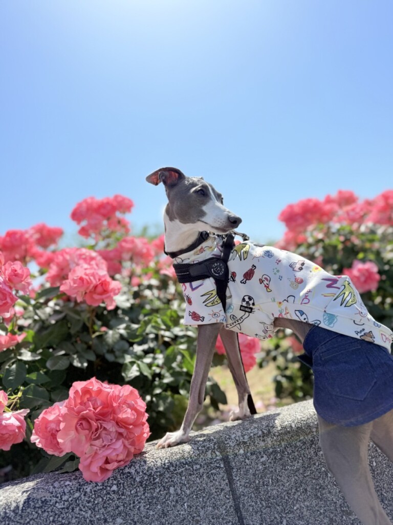 休日には♡