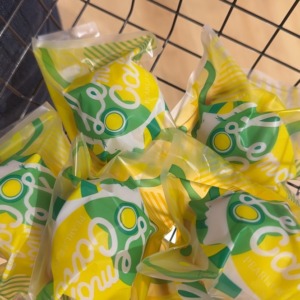 行ってきました◎