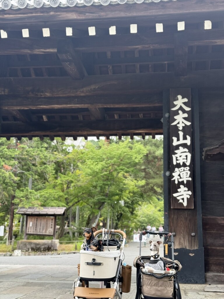京都の「南禅寺」 京都の「南禅寺」