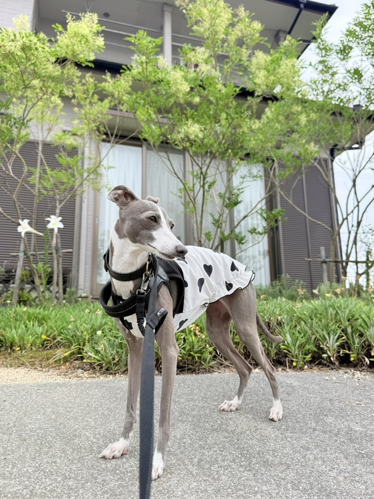 自家で♡