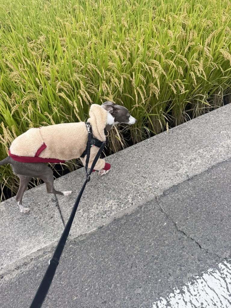 季節の変わり目♡ 季節の変わり目♡